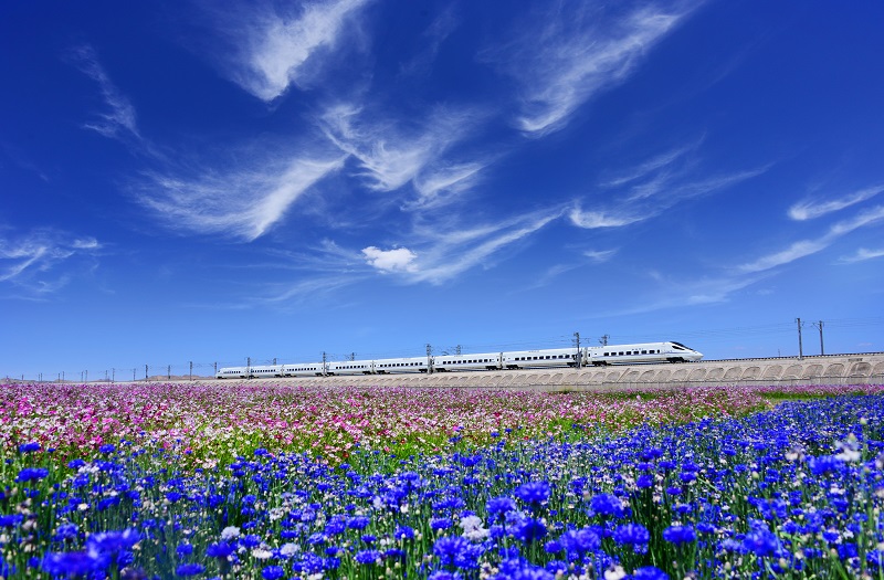171592381109116235.jpeg 15我局承建的世界第一條高原高鐵——蘭新高鐵.jpg
