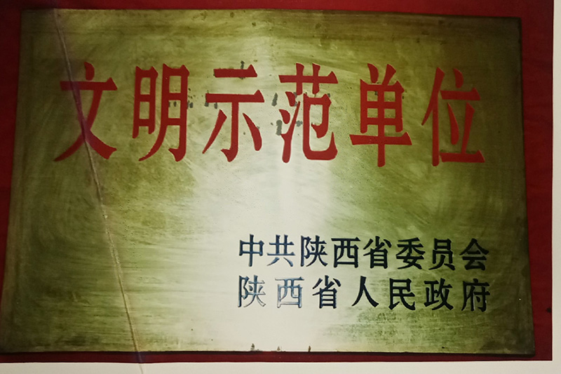 10、省級(jí)-陜西省文明示范單位.jpg